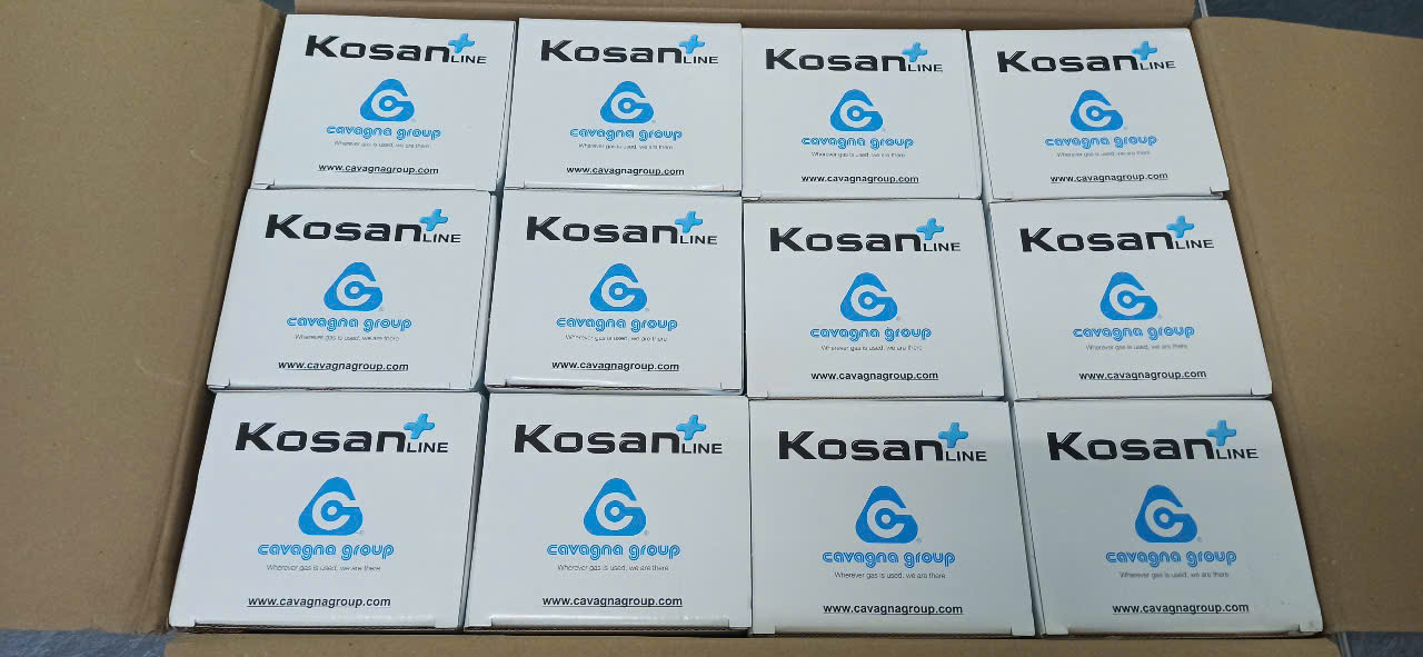 Van giảm áp Cavagna 992